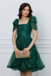 Rochie Aria verde scurta cu paiete