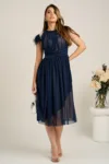 Rochie DY Fashion midi din tull bleumarin in clos cu pene la umeri