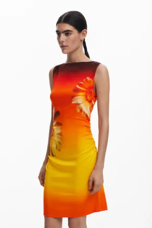 Rochie cu model