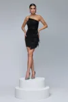Rochie eleganta scurta asimetrica accesorizata cu pene si broderie pretioasa