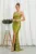 Rochie Shine Fistic
